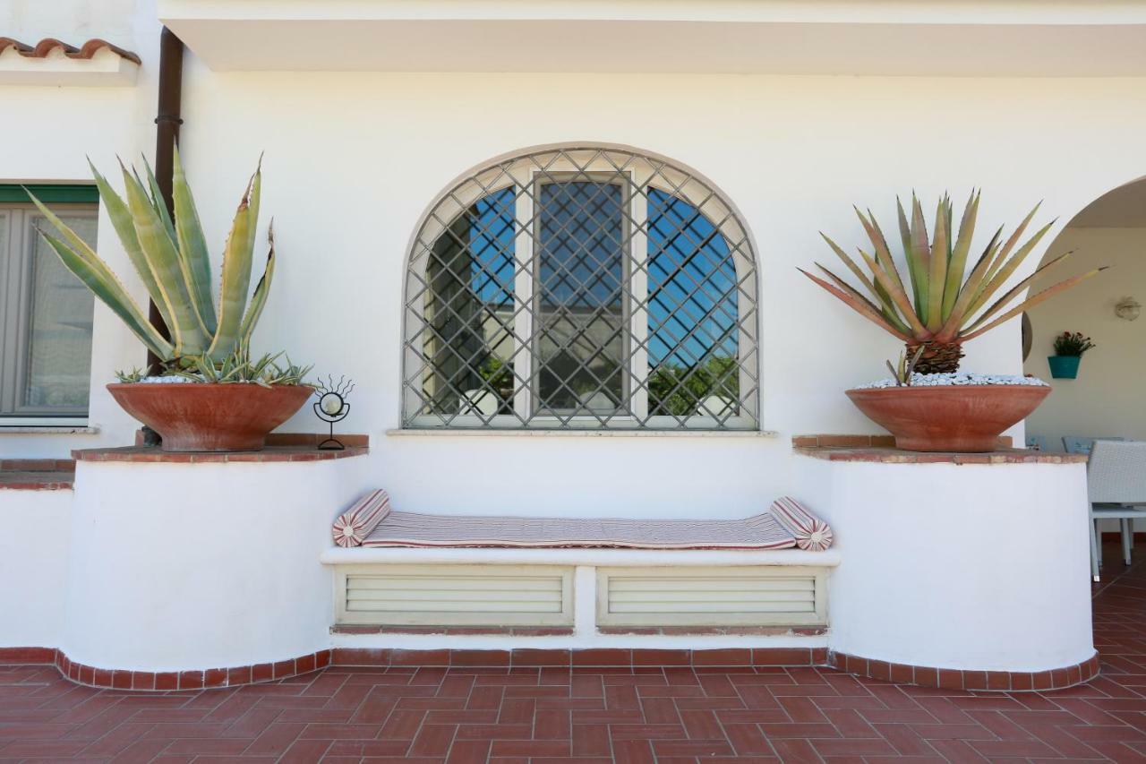 סבאודיה L'Ippocampo Guest House מראה חיצוני תמונה