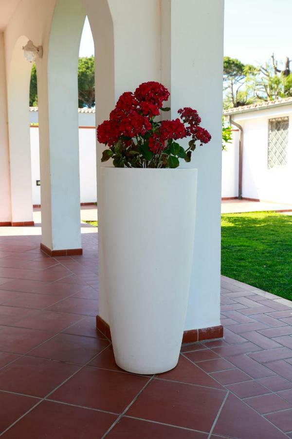 סבאודיה L'Ippocampo Guest House מראה חיצוני תמונה
